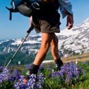 봄봄한의원 이미지