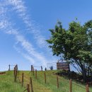 대형목장 이미지