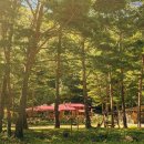 숲속의 웰빙 황토펜션 이미지