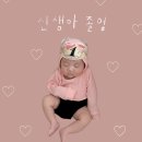 포스토리(Pho story) | 육아용품 사심템ㅣ라운드그라운드 초점책ㅣ포에 네임택ㅣLovana 개월수왕관ㅣ마르헨동물모빌