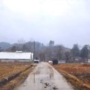 청록소규모요양시설 | [캠핑🏕]가평저스트캠핑 평일방문 후기 / 방갈로가 있는 소규모 신생캠핑장 / 좋았다!!