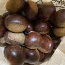 이평농장 이미지