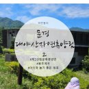 503 | [국립]멋진 계곡이 있는 대야산자연휴양림2 503호 금낭화 후기