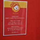 [제주] 백종원의 빽보이 피자 제주 서귀포점🍕| 피자가 정말 맛있었던 곳🌷