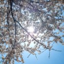 묵동목장 이미지