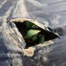 부형농장 이미지