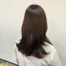 대치동미용실 에코쟈뎅 대치테라스점 시세이도염색 후기(영찬 디자이너)