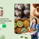 팡팡몰