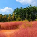 청산정원 이미지