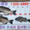 현대낚시레져