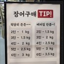 금빛장어 이미지