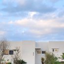 스테이 도채비꽃 이미지