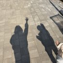 아이랑 동물원 도장깨기ㅣ 어린이대공원 동물원, 벳푸 아프리칸 사파리, 푸꾸옥 빈펄사파리