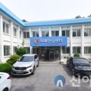 영월군 치매안심센터 이미지