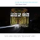 금강교옆 공원 | 공주 야경 명소 추천, 금강교에서 즐기는 밤 산책