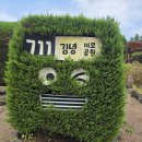 미로중학교 | 제주도 혼자 여행의 추억 - 이동수단, 유명 관광지 추천