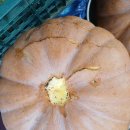 맷돌호박 2통나눔 이미지