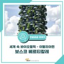 보스코건설