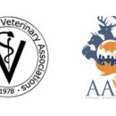 유니온동물의료센터 이미지