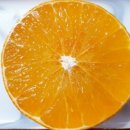 진배농장 이미지