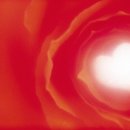 파랑새약국 이미지