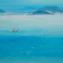 완도20호 이미지