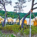 광광 농원 이미지