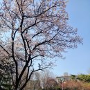 중현어린이공원 네이버블로그
