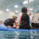 아이엠 키즈 스윔스쿨 이미지