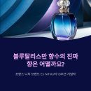 50 | 블루탈리스만 향수 시향 후기! 50ml 구매후기 지속력은?