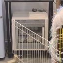 잔다냥 강동점 이미지