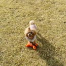 개르메스 이미지