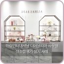 옥서스인터내셔널 이미지