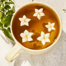 쟈스민2 이미지