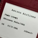 들의교 | 겨울 오키나와 3박 4일 행복기 / 아리스 렌트카 교다휴게소 츄라우미 수족관