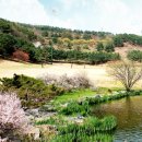 88컨트리클럽연습장 이미지