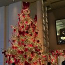 갤러리순 | 그랜드하얏트서울 갤러리 애프터눈티 주말 예약, 트리 이용 후기