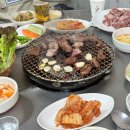 돈나라우나라 이미지