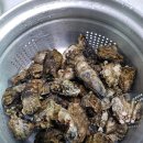 안면도 빨강펜션 이미지