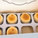 건수목장 | [제주도 아기랑 2박 3일 여행 일정 및 경비] 항공권, 숙소 예약 및 할인 팁 공유!(+입원으로 인한 취소...