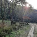 최무선로 이미지