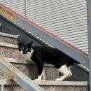 UR(김해시)-[덕정로]-하-5 | 일상 블챌 2) 나는 주말무새, 주말만 기다리기