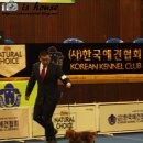 오스카 Daum카페
