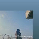 뚱슈헤나 이미지