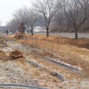 덕이목장 이미지