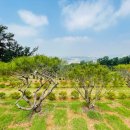 정식목장 이미지