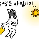 어스플레잉 수영 이미지