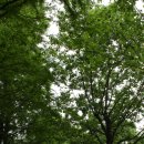 우성1농장 이미지