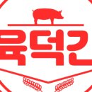 육덕돼지 이미지