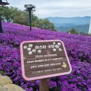 바람언덕 이미지